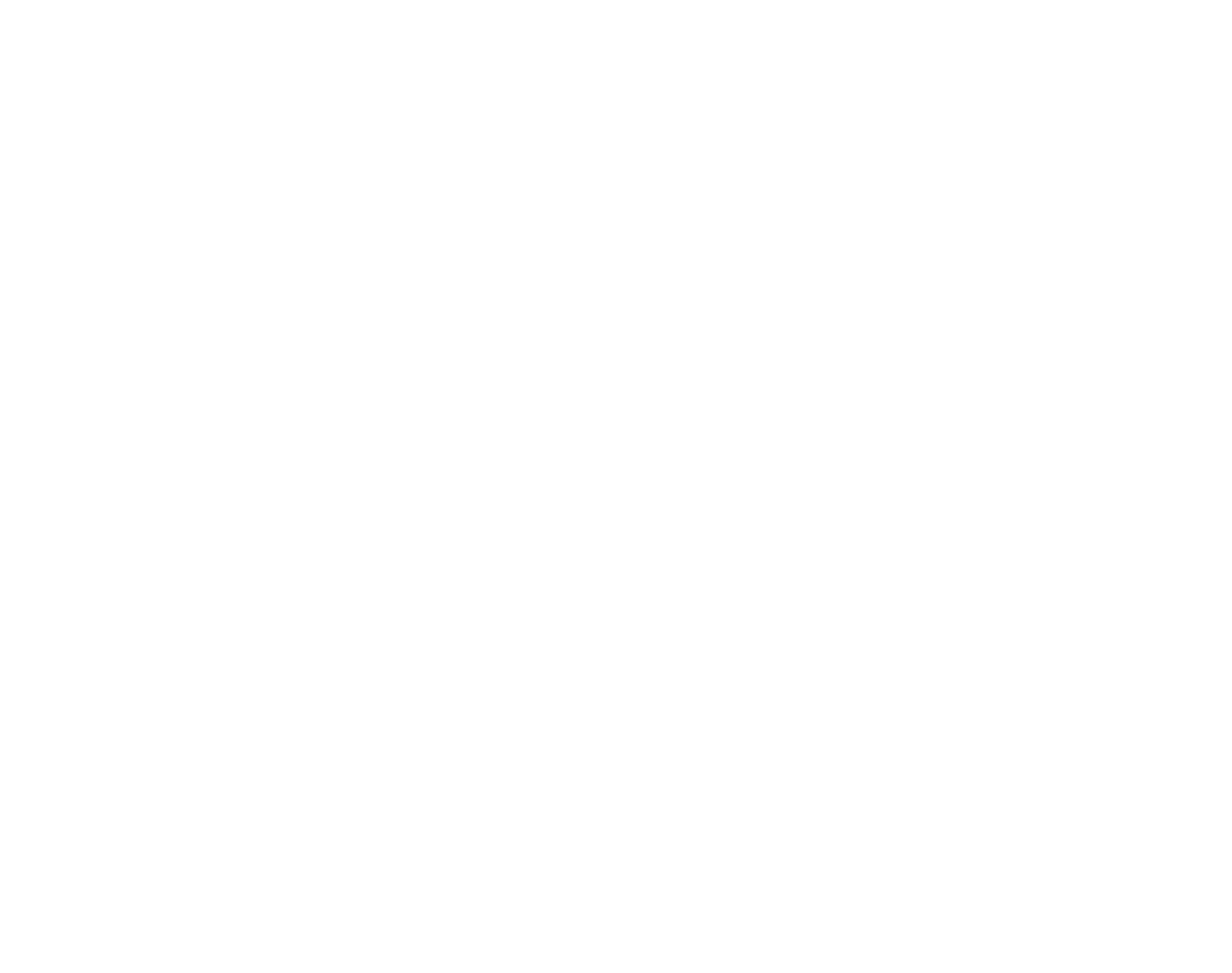SSNS-Rootz-Logofull_white@4x